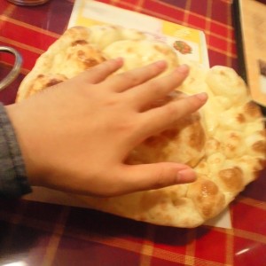 デュワン　Mサイズのナンの大きさ
